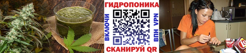 Cannafood конопля  Кыштым 