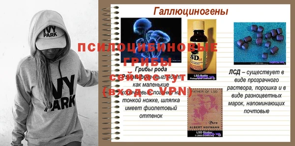 apvp Алексин