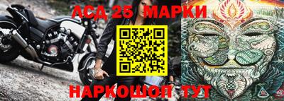 Альфа ПВП Камышлов