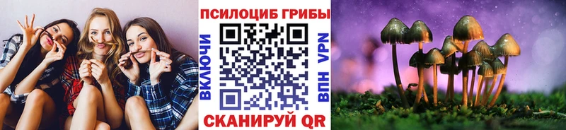 как найти   MEGA как зайти  Галлюциногенные грибы MAGIC MUSHROOMS  Кыштым 