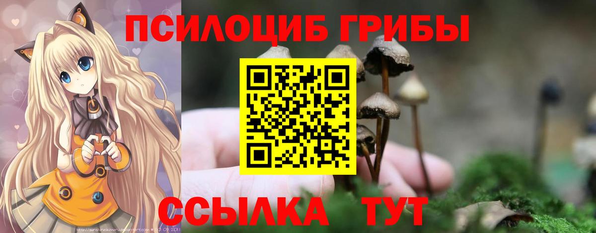 Псилоцибиновые грибы прущие грибы  Вход с VPN  Кыштым 